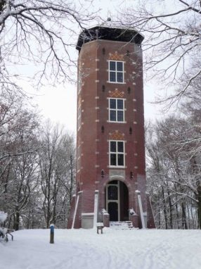 De Koepel - midden in het Luntersche Buurtbosch