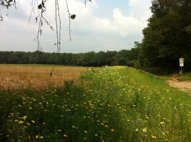 Akker-op-Goudsberg