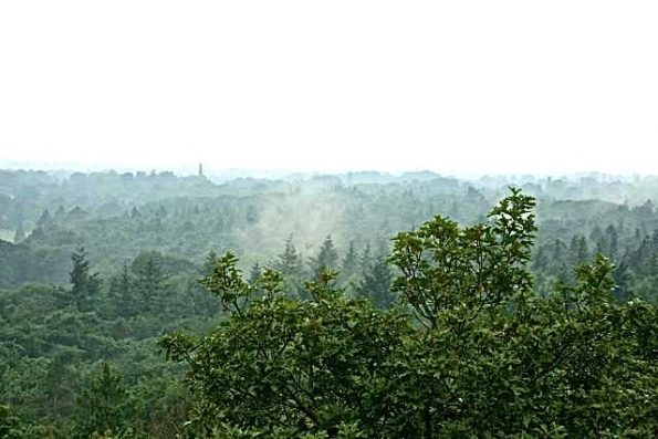 mist__2__vanuit_koepel