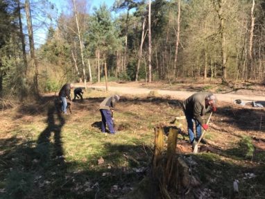 Boswerkgroep Luntersche Buurtbosch actief