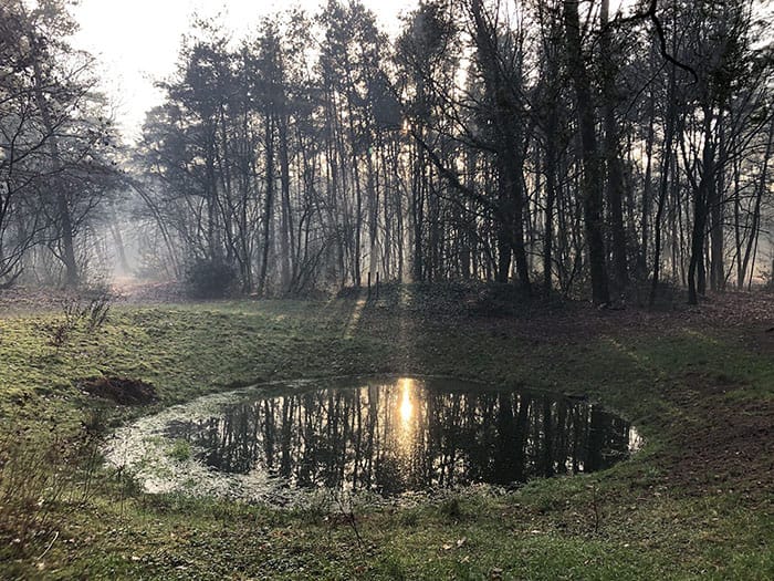 ZOMERAVOND WANDELING  IN HET LUNTERSCHE BUURTBOSCH