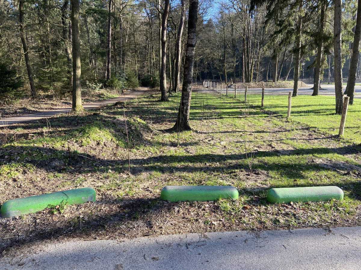 Aanplant bomen en struiken langs vd Hamlaan en Westhofflaan