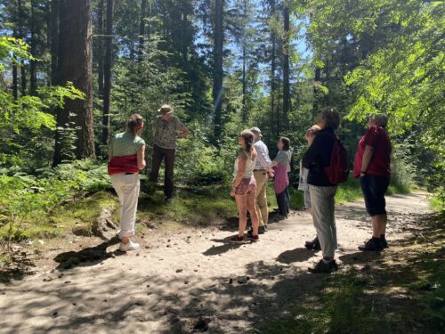 Lentewandeling