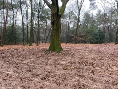 Groot onderhoud Gedenkbank van het Luntersche Buurtbosch