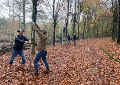 rasteren jonge bomen luntersche buurtbosch