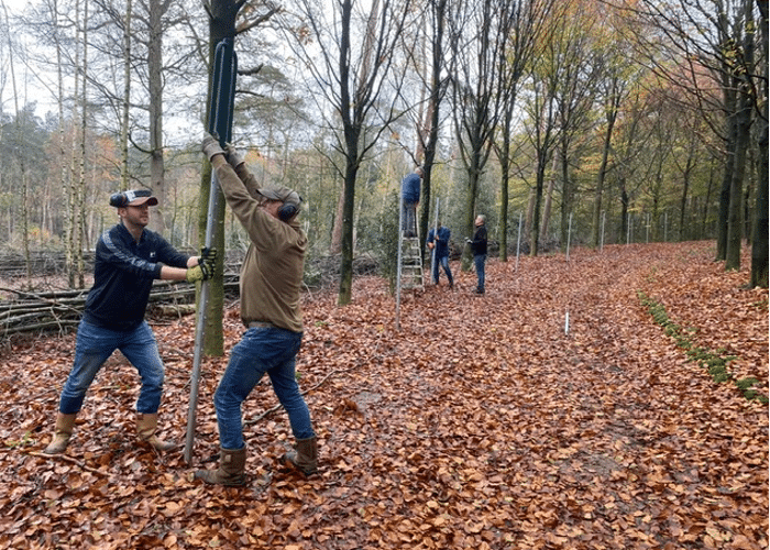 rasteren jonge bomen luntersche buurtbosch